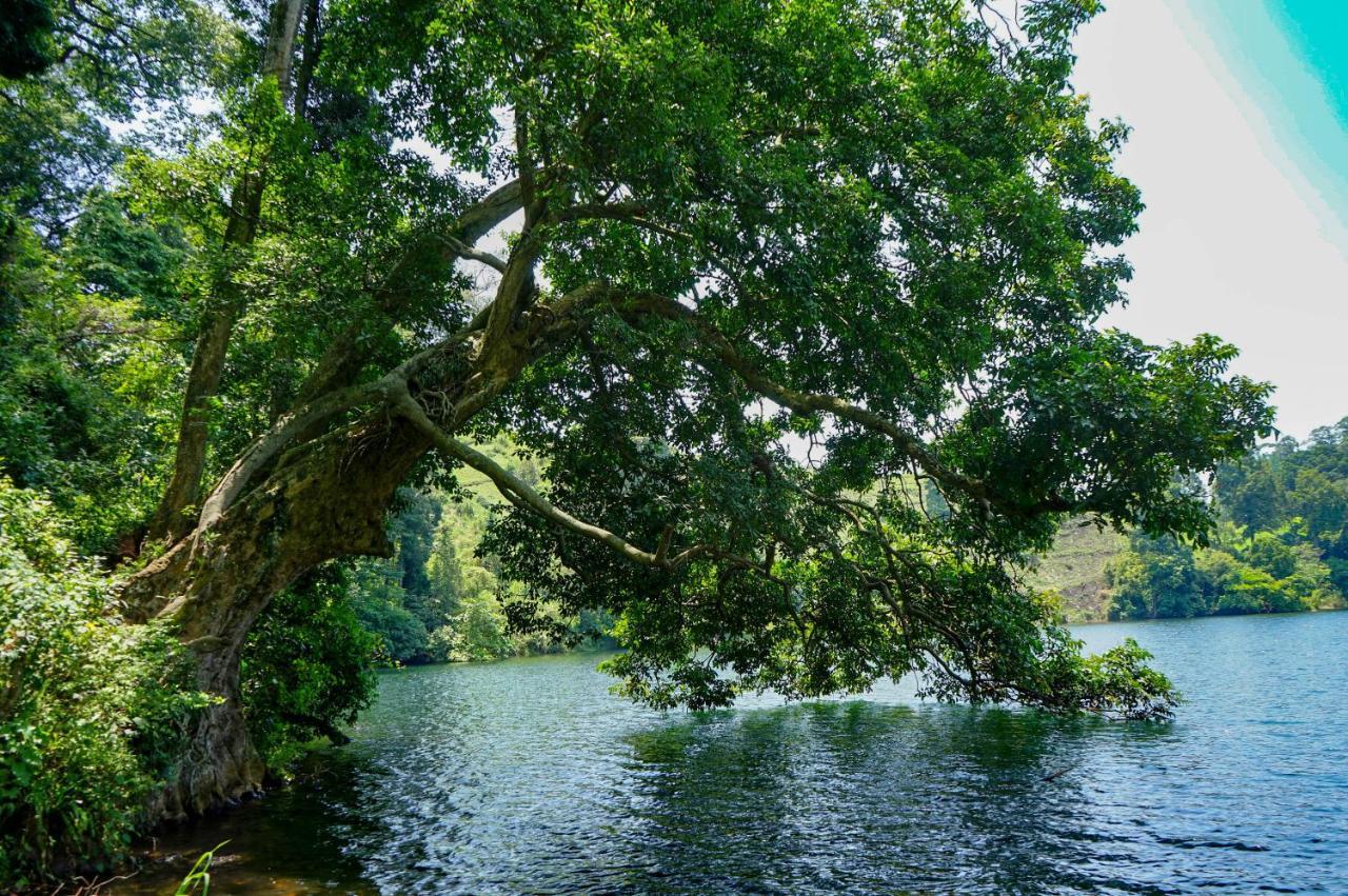 Lake Nyamirima Cottages Fort Portal Extérieur photo